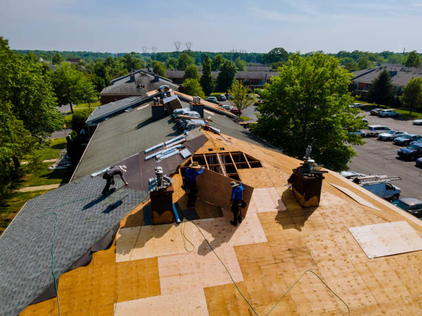 Best Flat Roof Repair Services  in Ortonville, MN