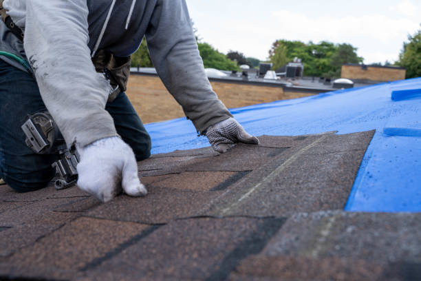 Best Roof Maintenance Services  in Ortonville, MN