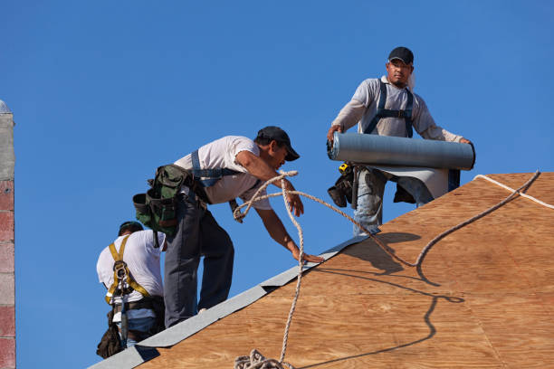 Best Roof Replacement Cost  in Ortonville, MN
