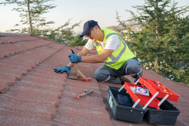Best Commercial Roofing Services  in Ortonville, MN