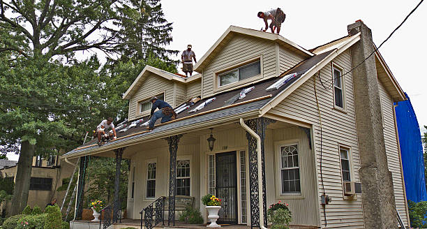 Best Roof Gutter Cleaning  in Ortonville, MN
