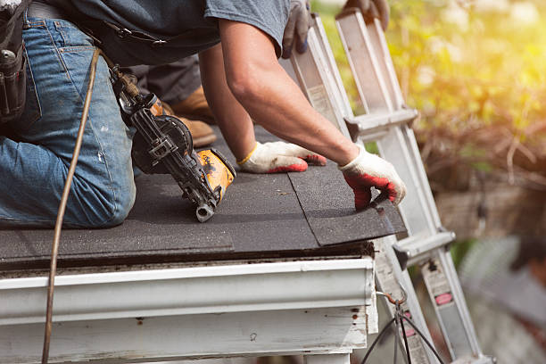 Best Local Roofing Companies  in Ortonville, MN
