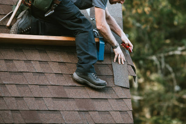 Best Roof Restoration Services  in Ortonville, MN