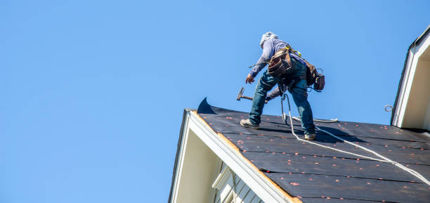 Best Roof Gutter Cleaning  in Ortonville, MN